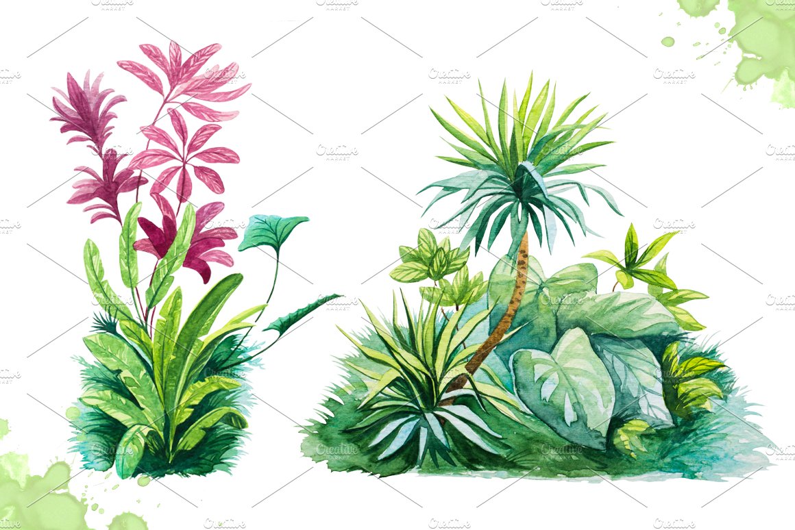 Watercolor tropical leaves set#2. preview image.