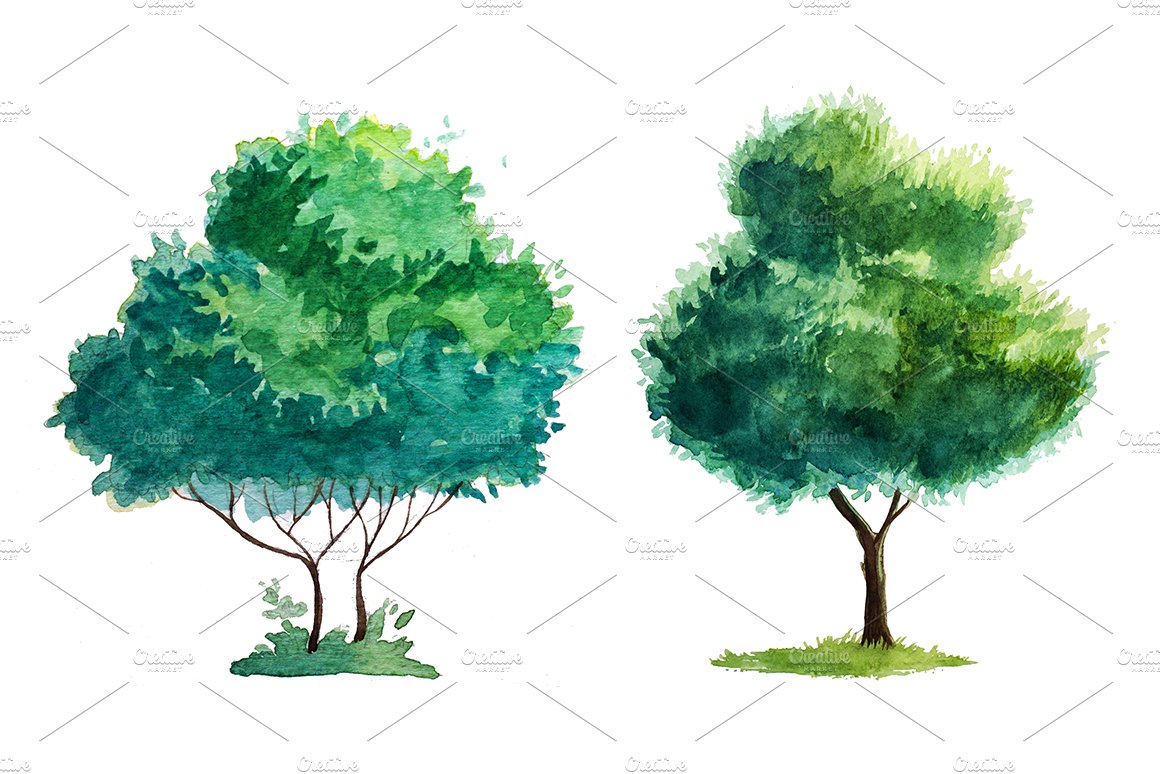 Two trees painted in watercolor on a white background.
