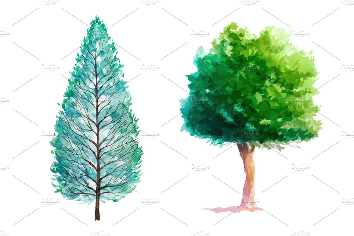 Two trees painted in watercolor on a white background.