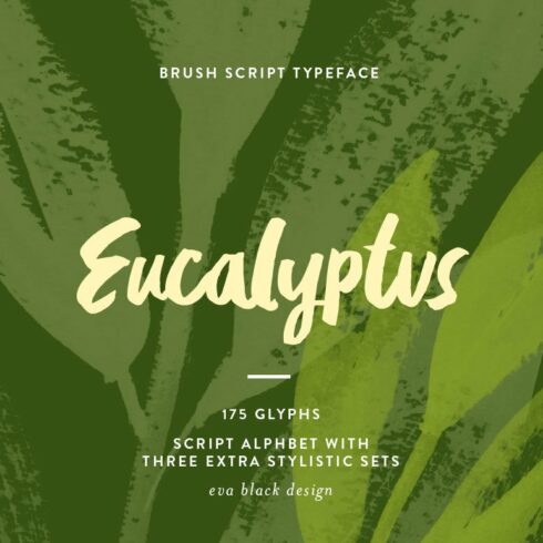 Eucalyptus Brush Script cover image.
