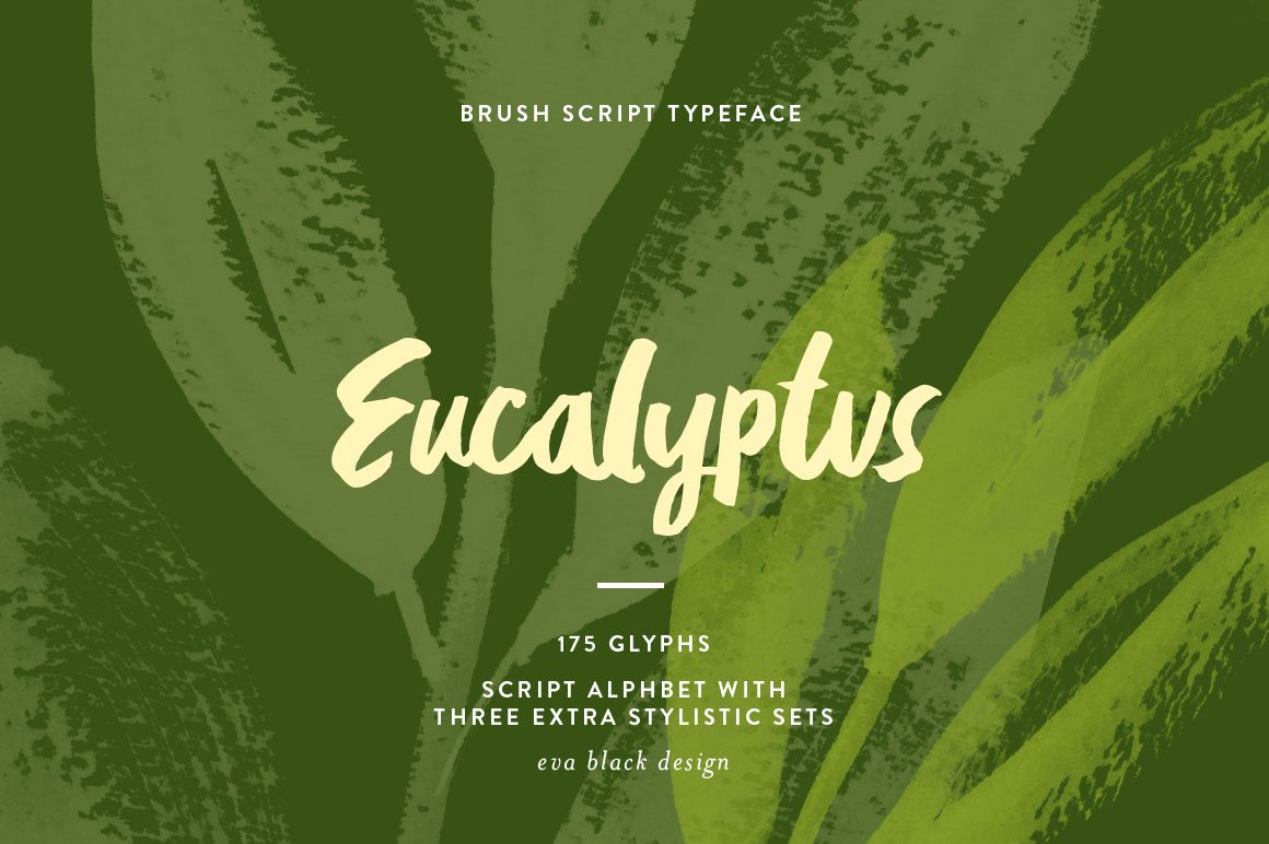 Eucalyptus Brush Script cover image.
