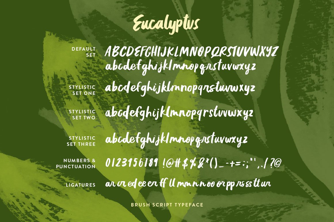Eucalyptus Brush Script preview image.