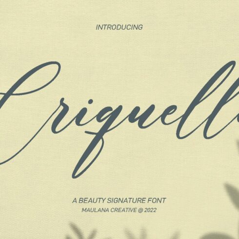 Criquella Script Font cover image.