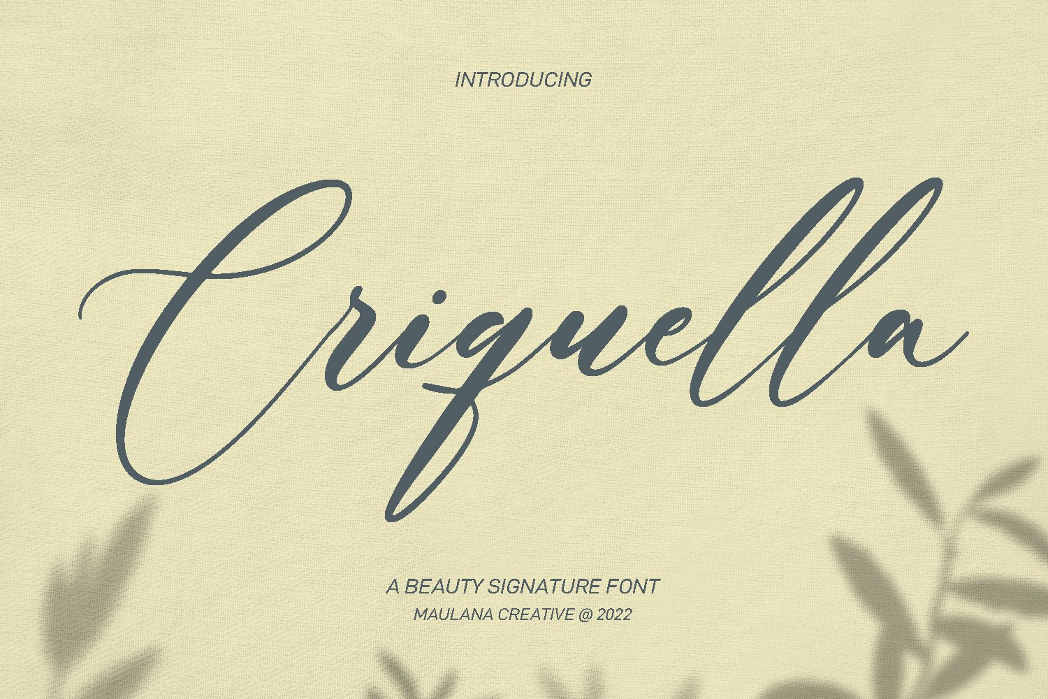 Criquella Script Font cover image.