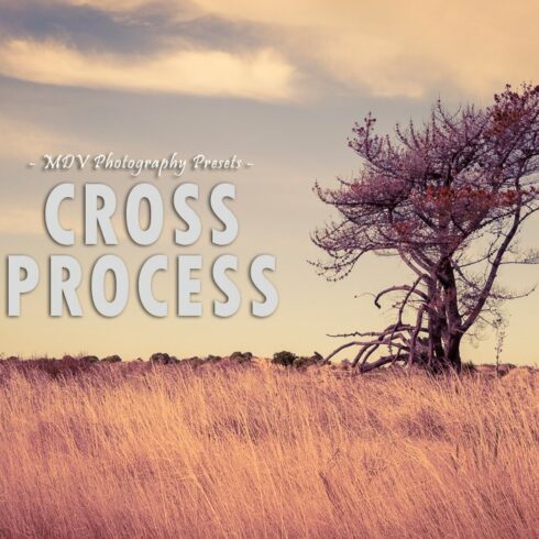 Cross Process - Lightroom presetscover image.