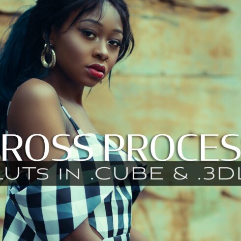 3d LUTs - Cross Processcover image.