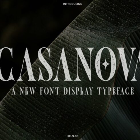 The Casanova (clean & rough) cover image.