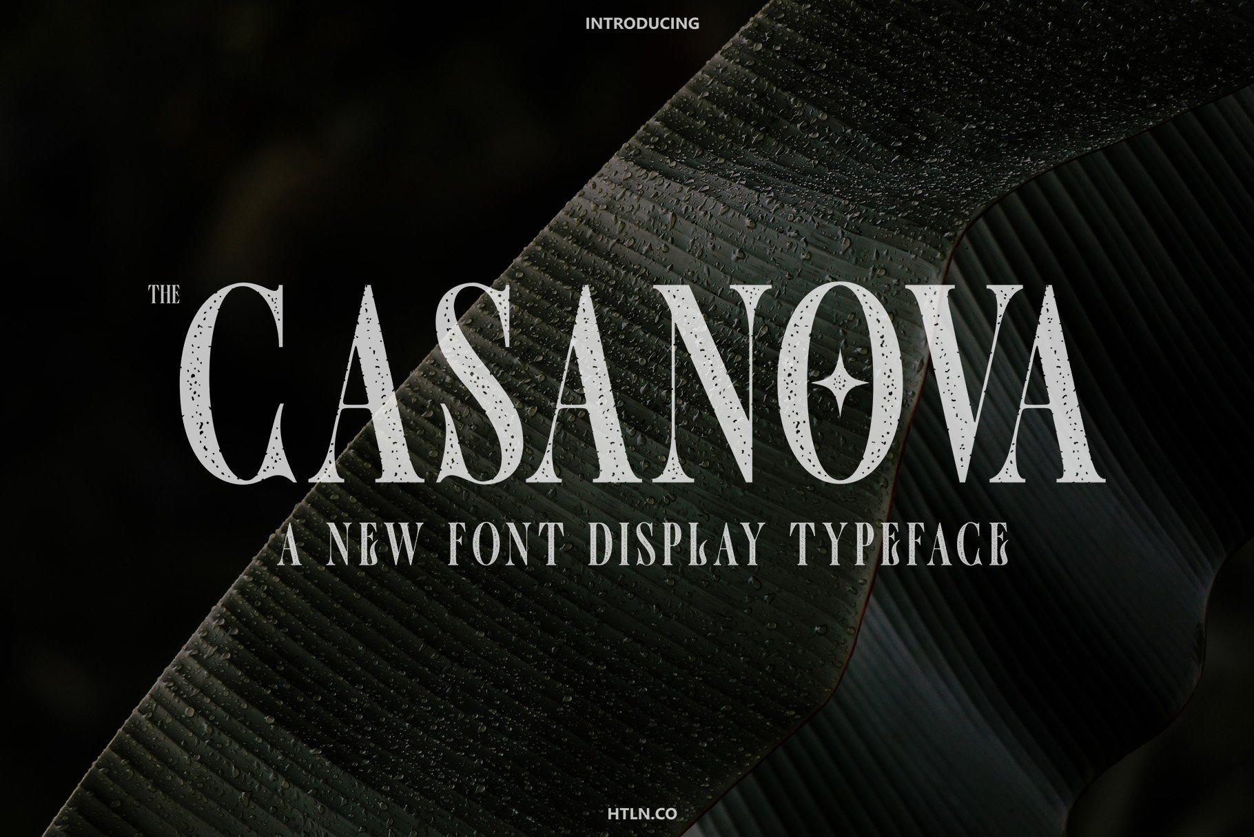 The Casanova (clean & rough) cover image.