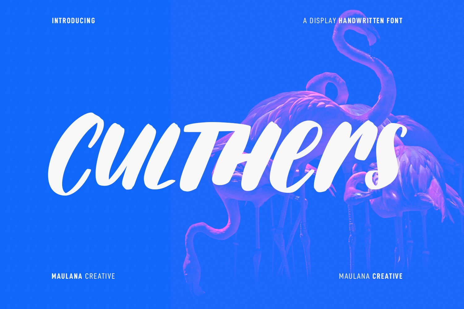 Culthers Handwritten Display Font cover image.