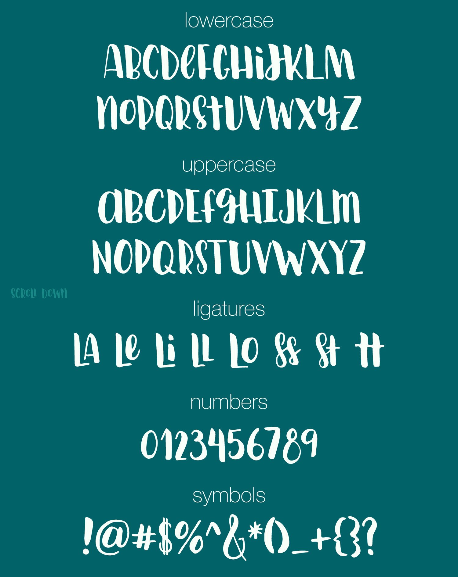 Curiosity, hand lettered brush font preview image.