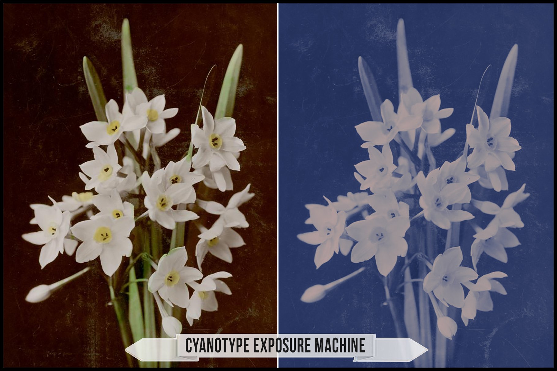 cyanotype exposure machine 289