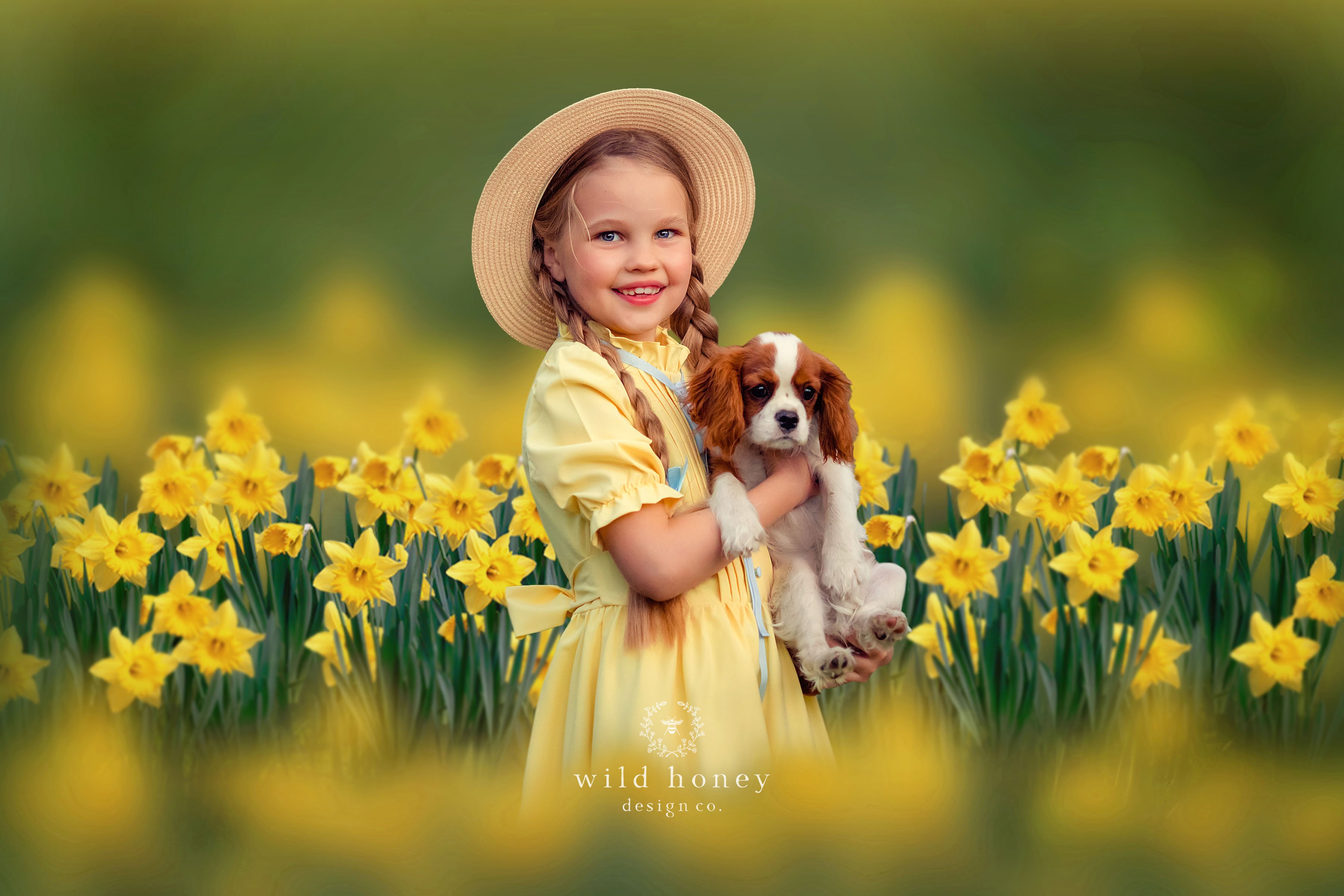 Daffodil Digital Backdropcover image.