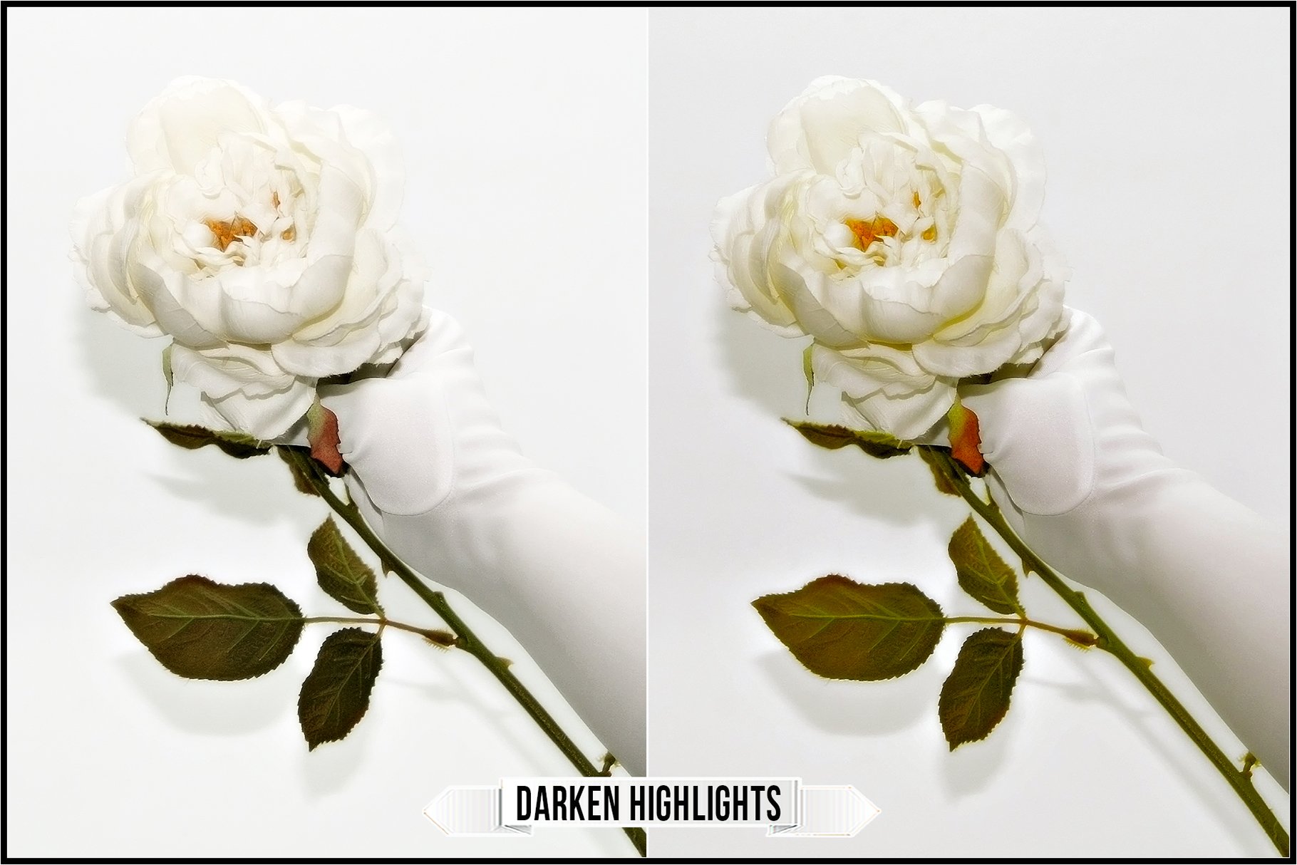 darken highlights 864