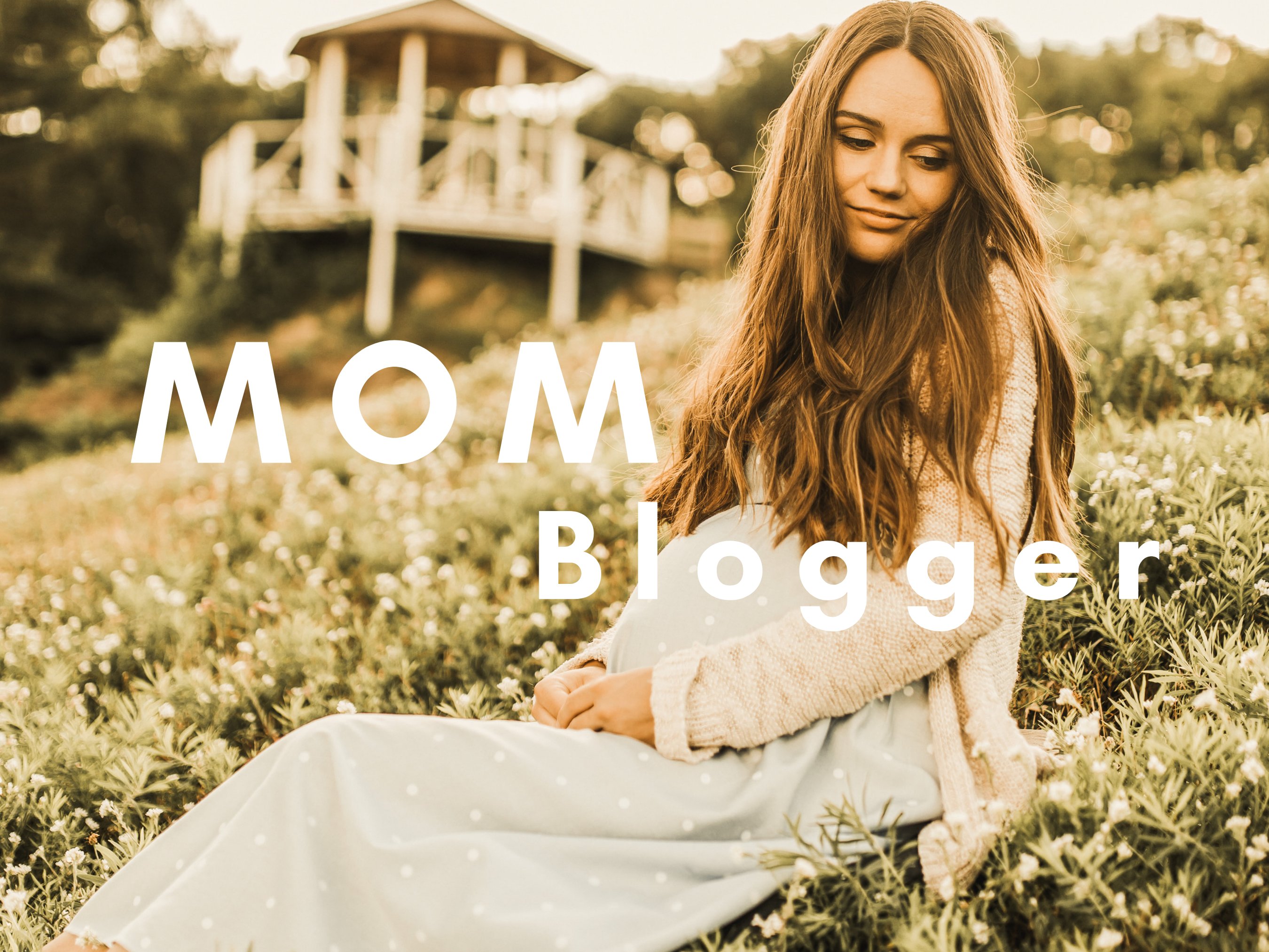 Mom Bloggers Presetscover image.