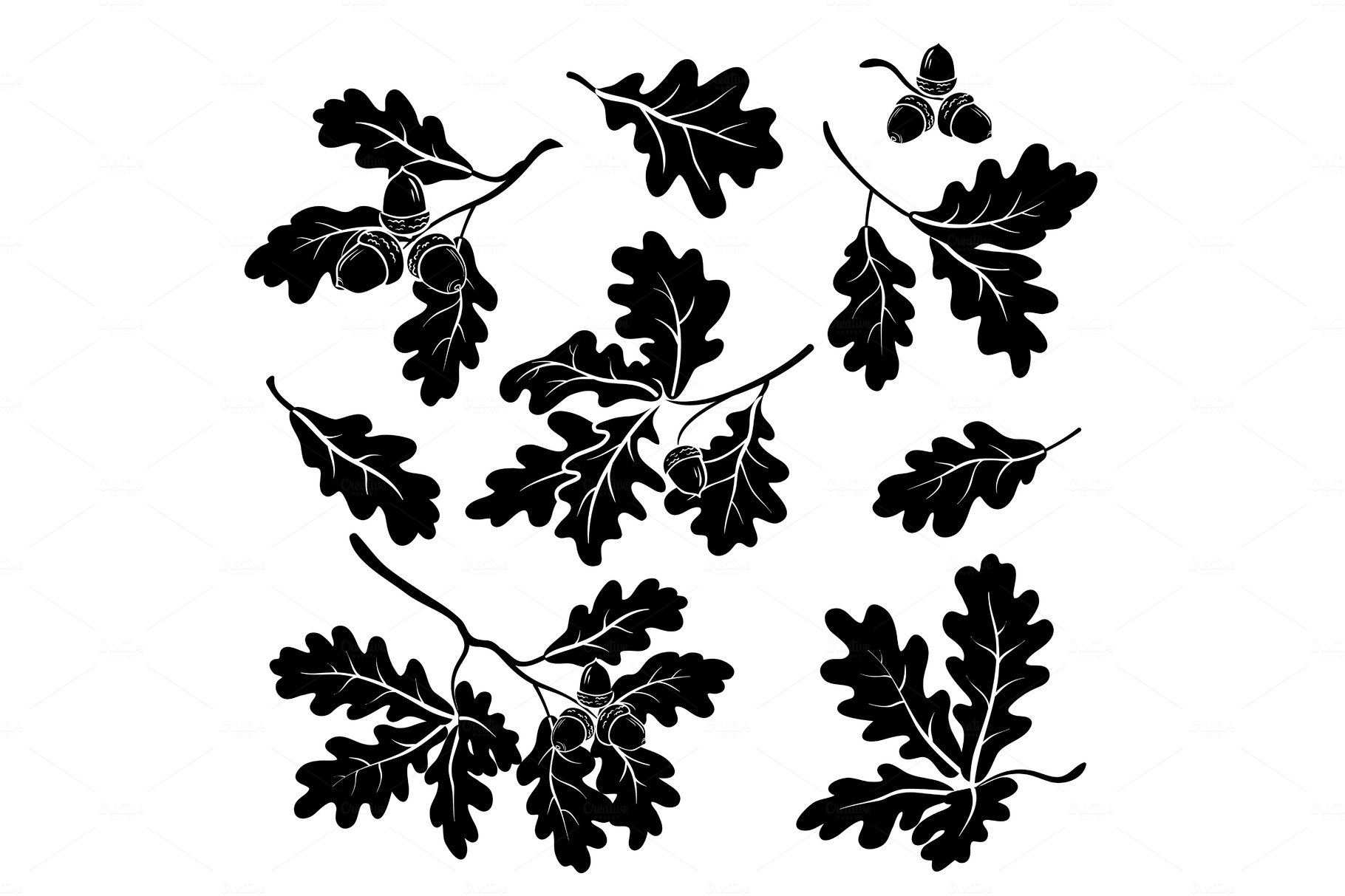 Set of black and white oak leaves.
