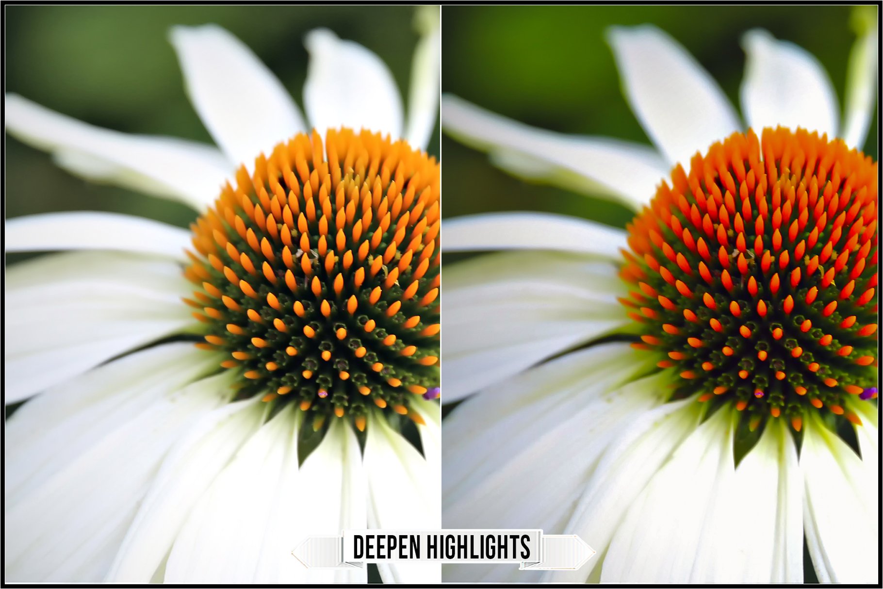 deepen highlights 19