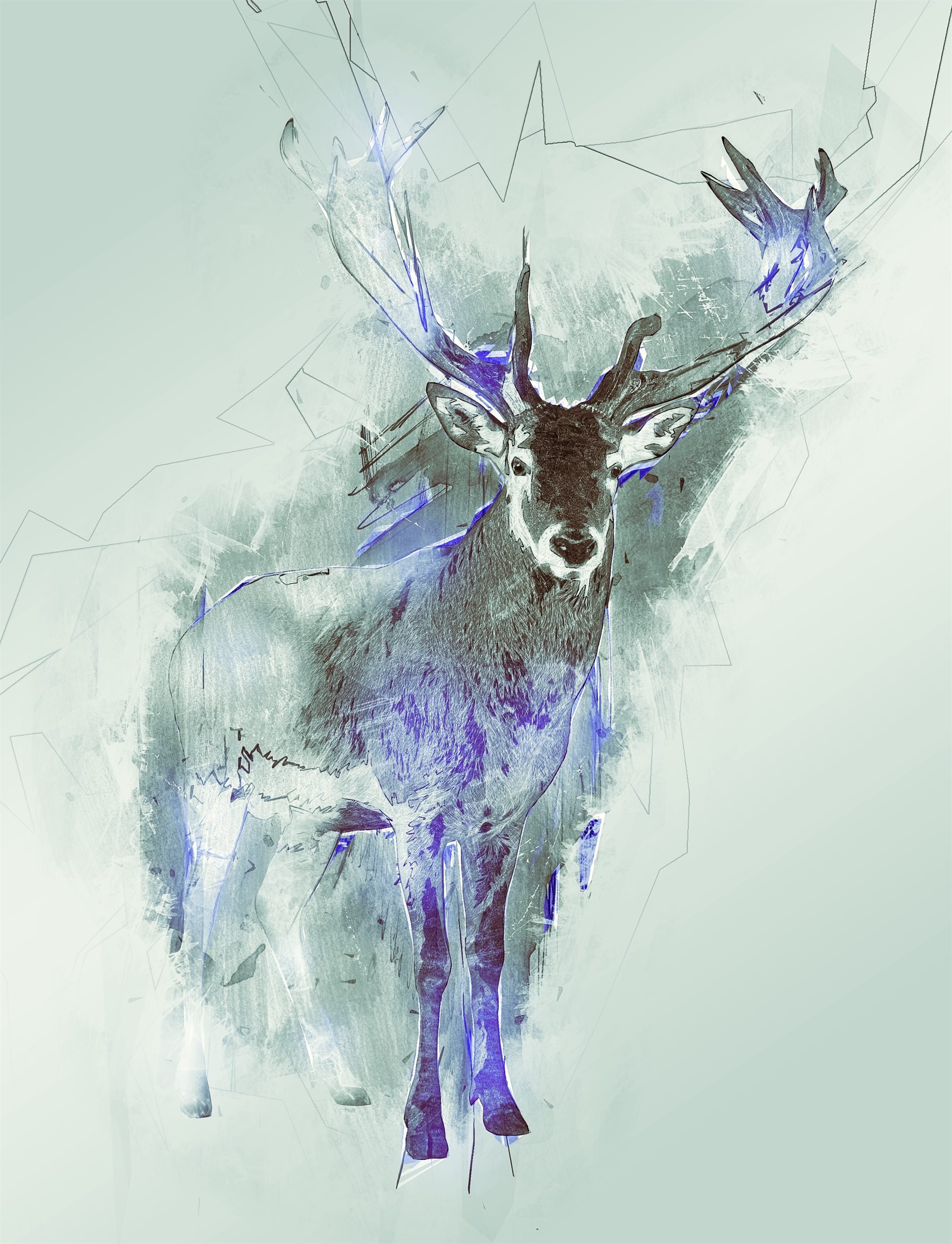deer 338