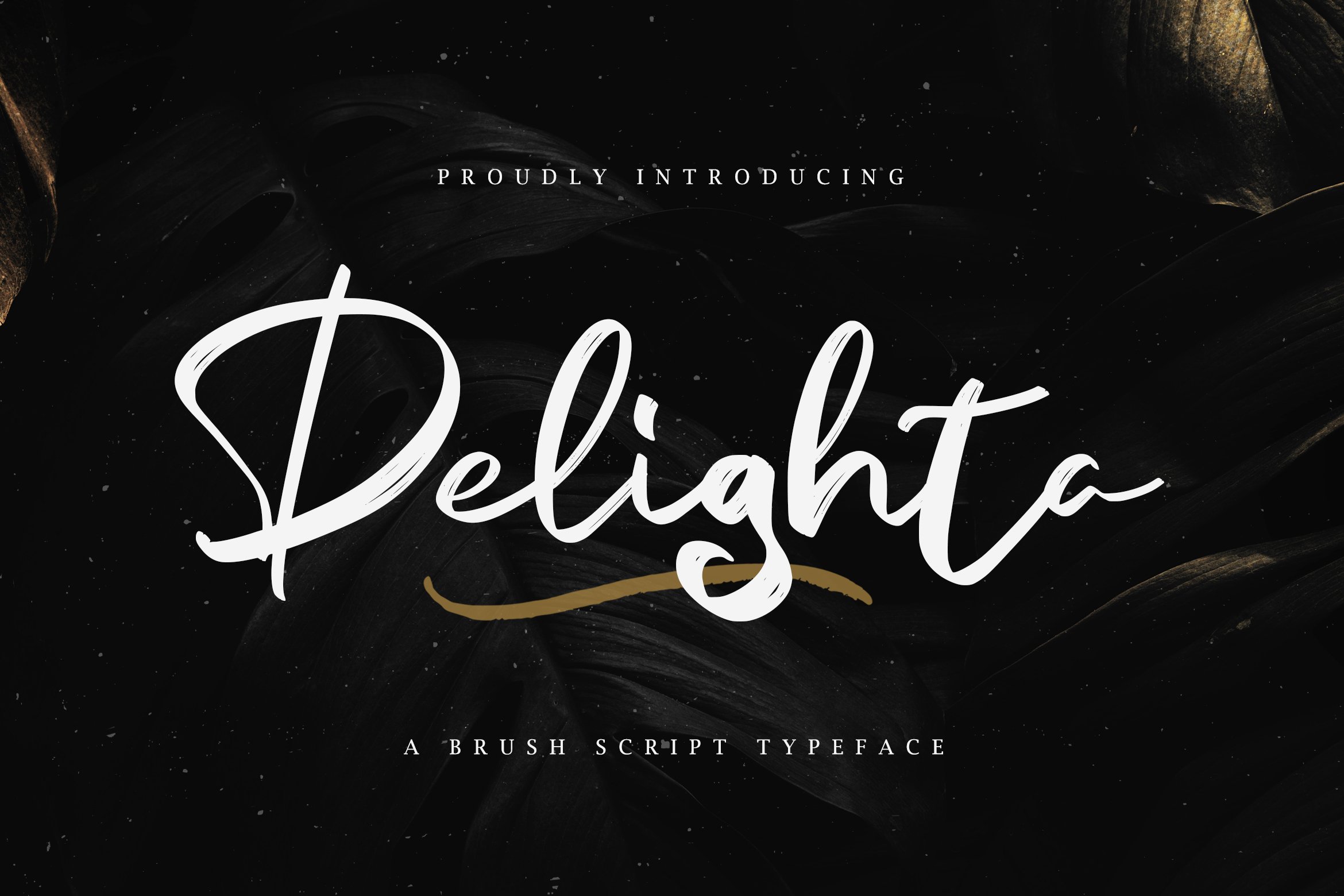 Delighta - Brush Script Font cover image.