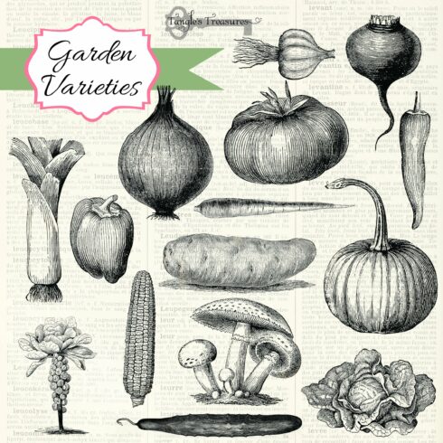 Vintage Vegetables Brushescover image.