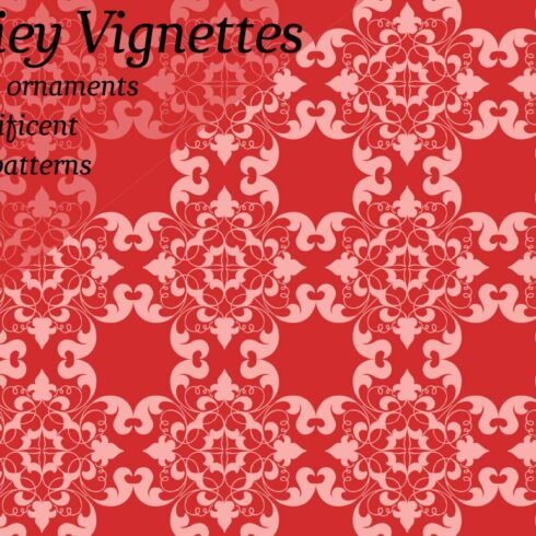 Derriey Vignettes cover image.
