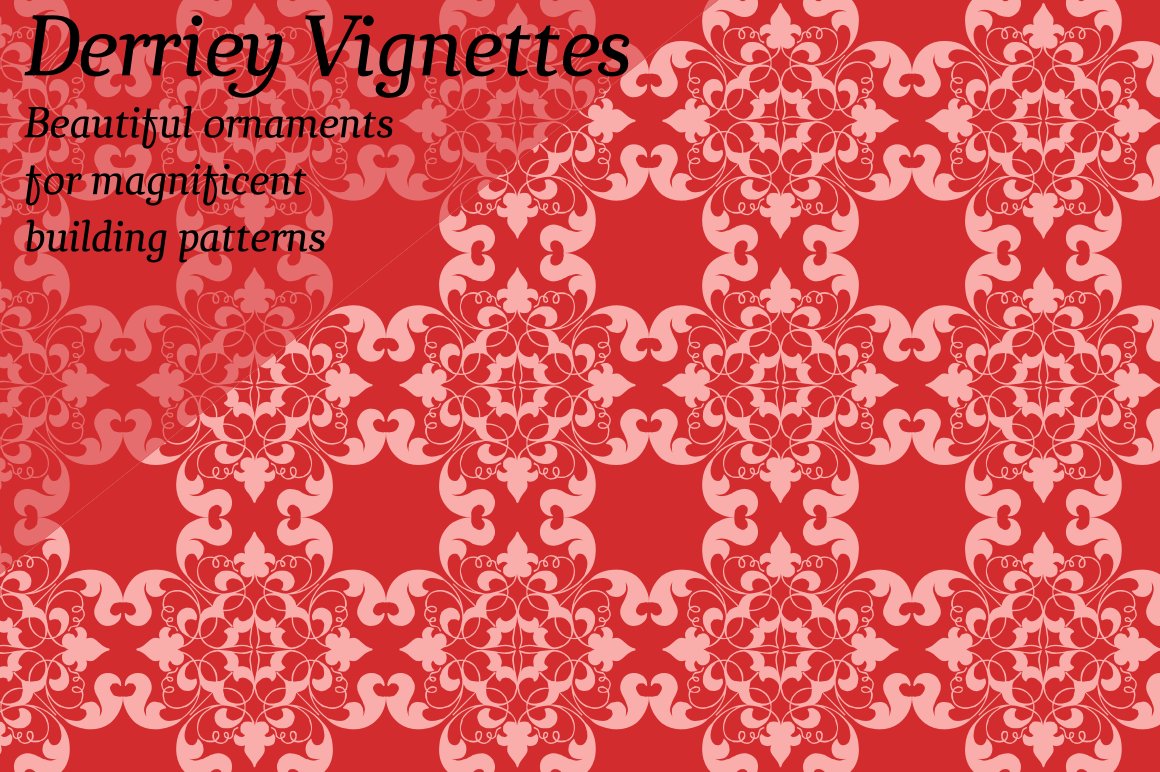 Derriey Vignettes cover image.