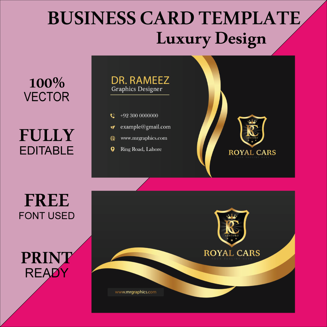 Professional Business Card Template cover image.