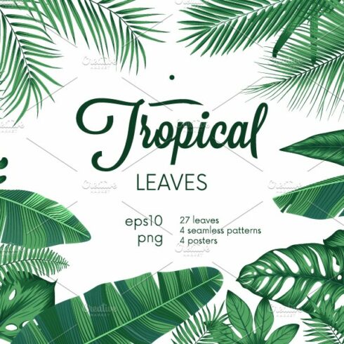 Detailed tropical leaves cover image.