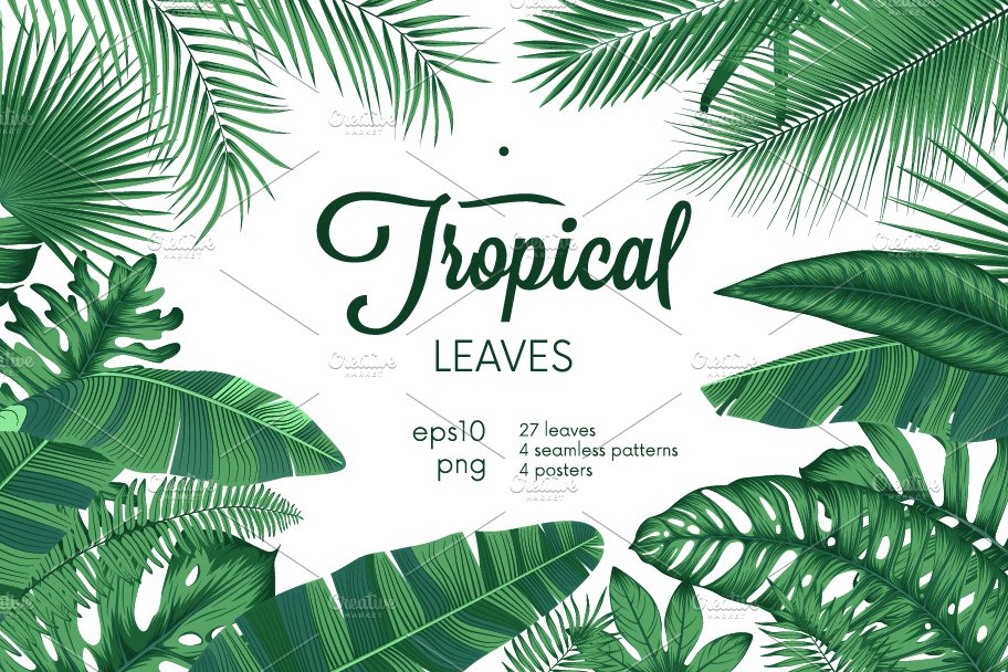 Detailed tropical leaves cover image.