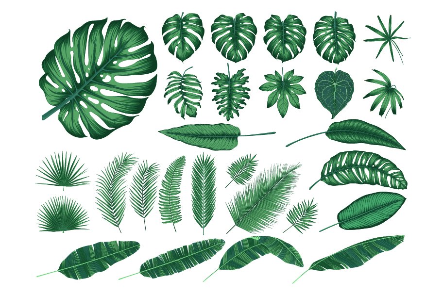 Detailed tropical leaves preview image.