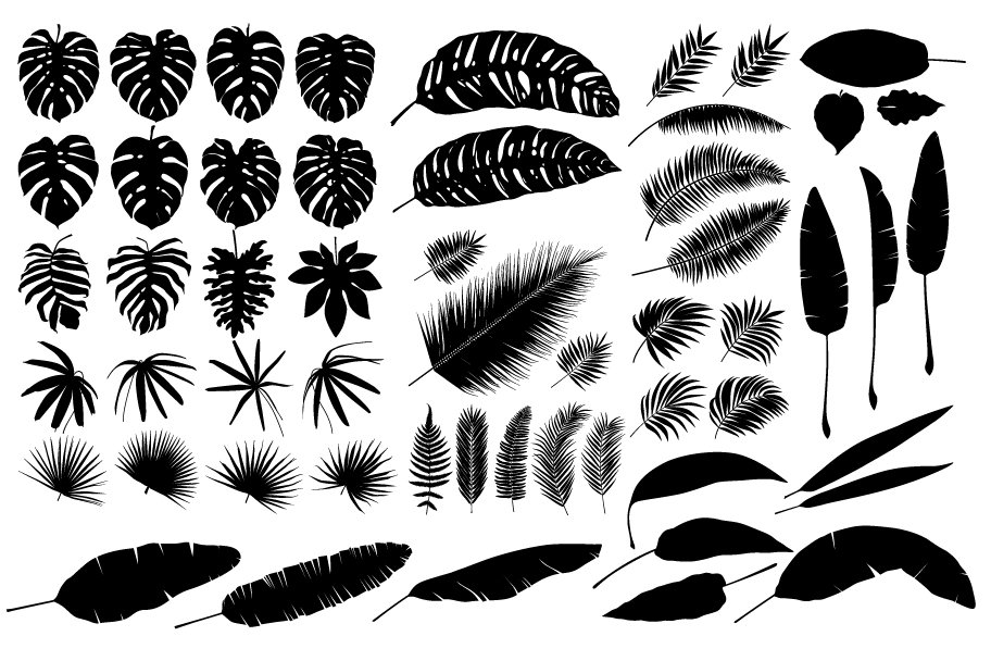 Collection of black and white leaves.