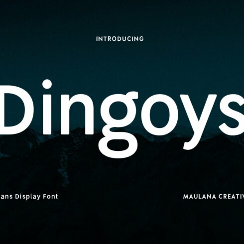 Dingoys Sans Font cover image.