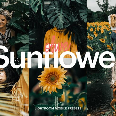 Lightroom Preset-Olive Sunflowercover image.