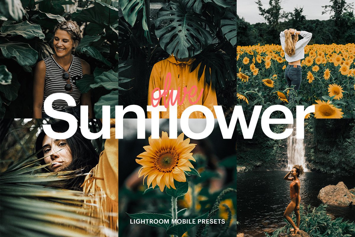 Lightroom Preset-Olive Sunflowercover image.