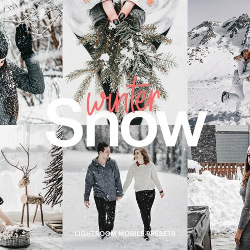 Lightroom Preset-Snow Wintercover image.