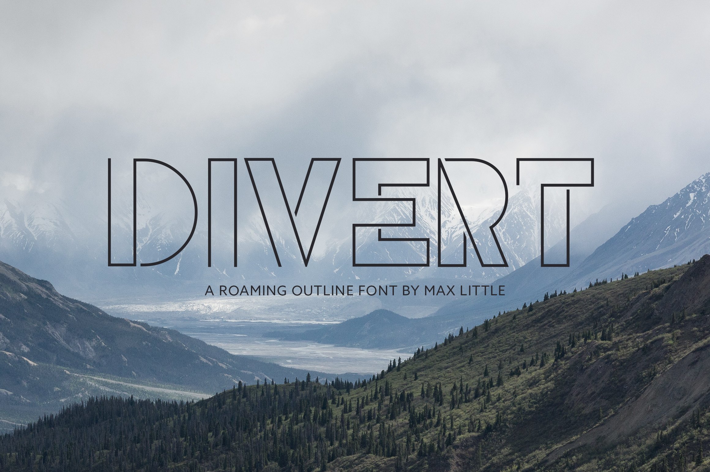 Divert cover image.