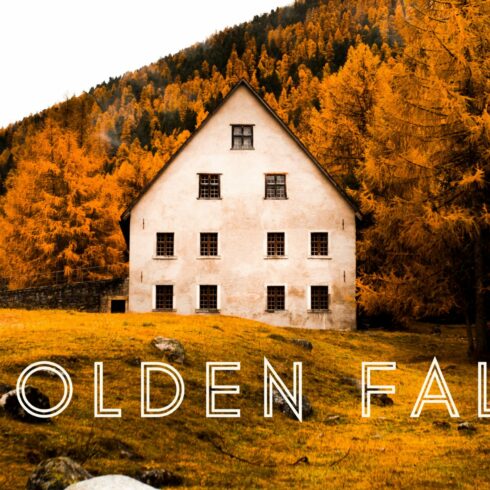 40 Golden Fall Lightroom Presetscover image.