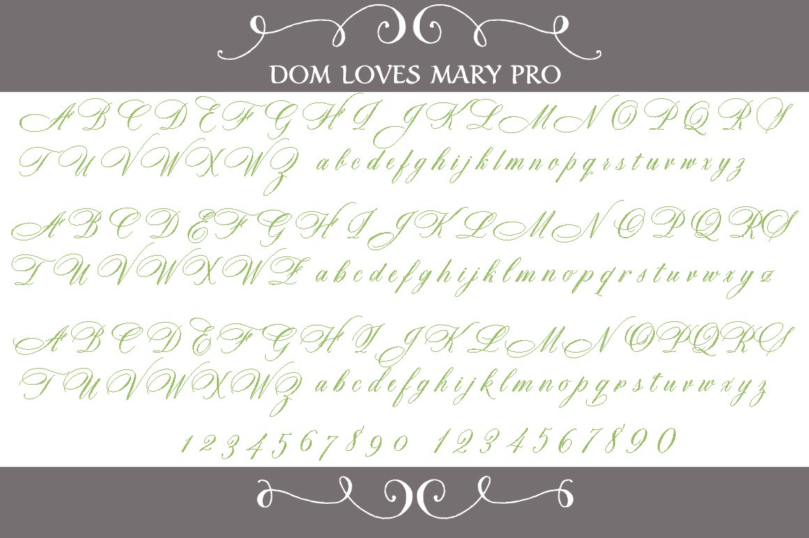 Sale-Dom Loves Mary Total Design preview image.