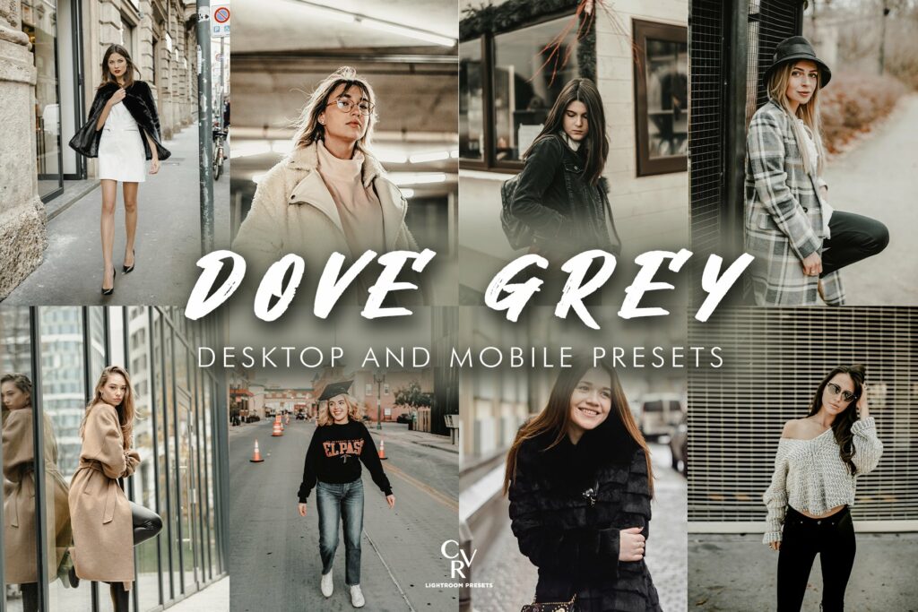 8 Dove Grey Lightroom Presets MasterBundles
