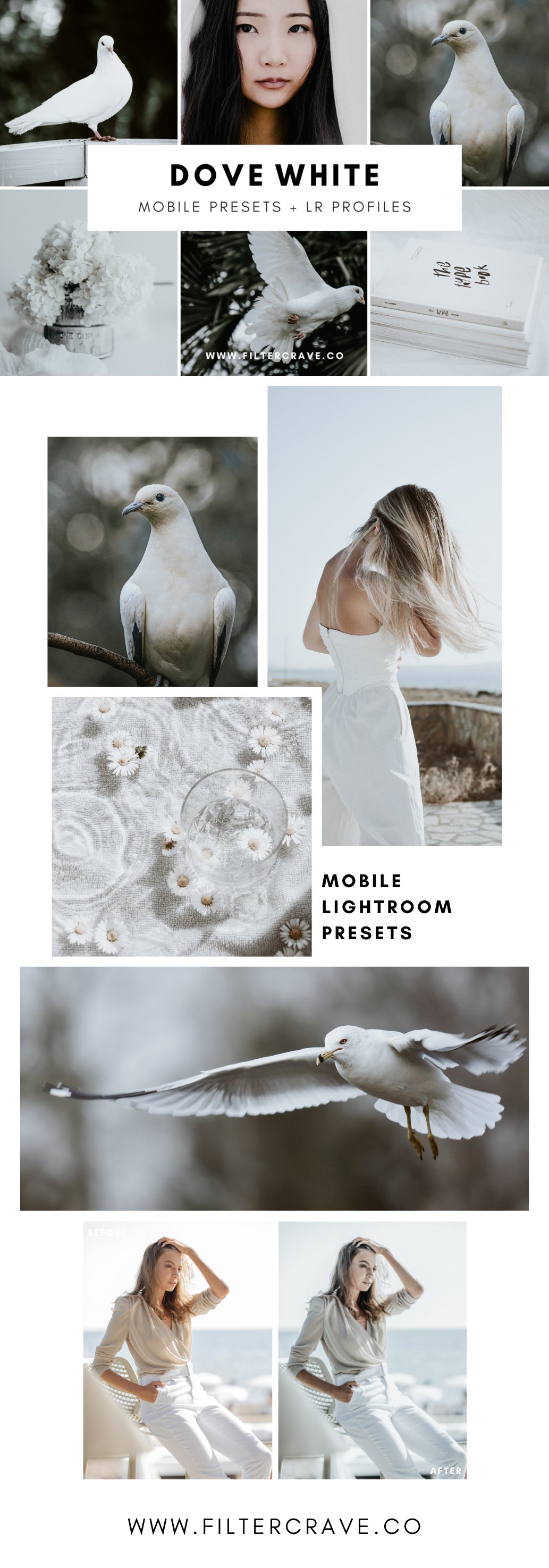 dove lightroom presets filtercrave 28129 336