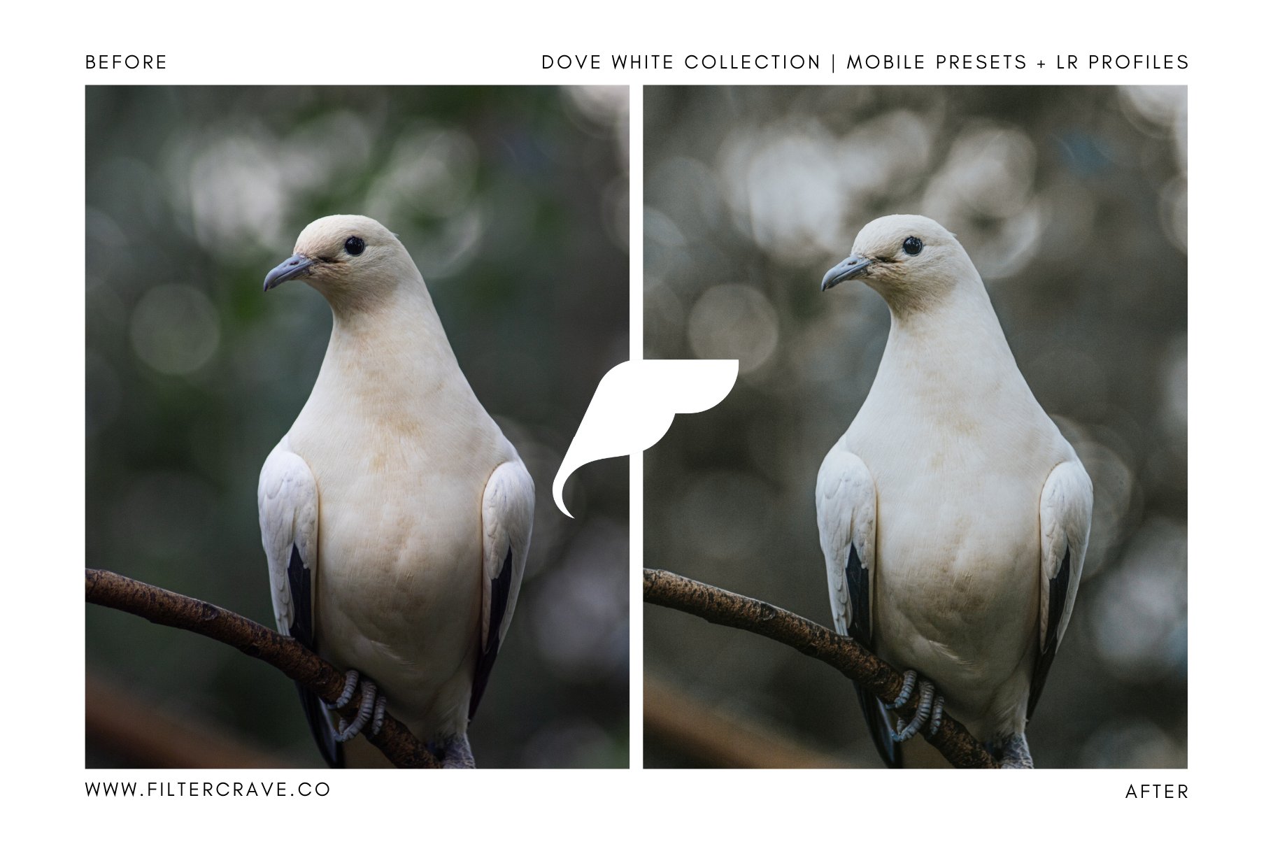 dove white mobile presets filtercrave 28429 313