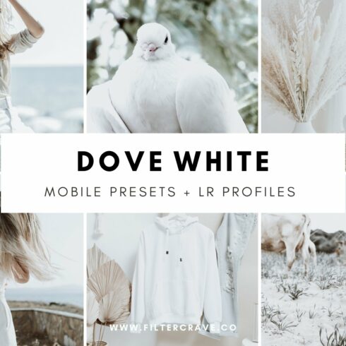 Dove White Mobile Lightroom Presetscover image.