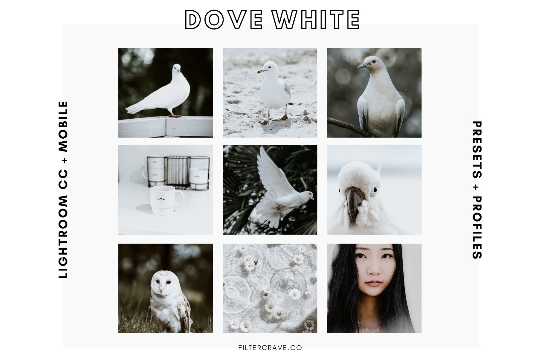 dove white mobile presets filtercrave 28929 462