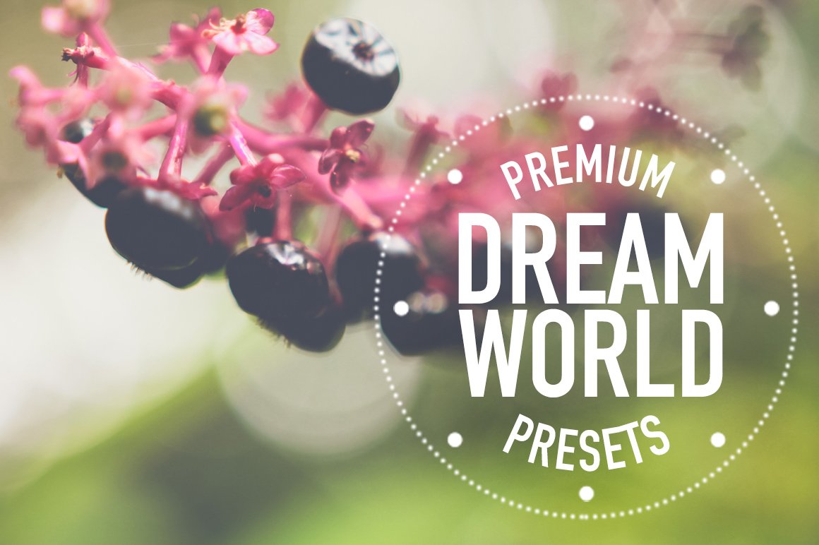 dreamworld creative market main image set 1 807
