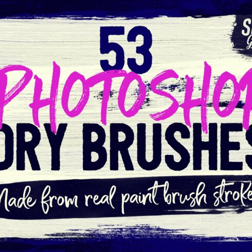 53 Photoshop Dry Brushescover image.