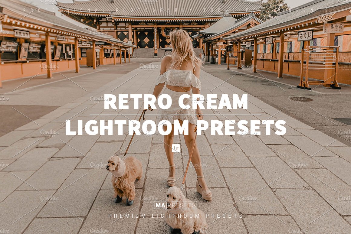 10 RETRO CREAM Lightroom Presetscover image.