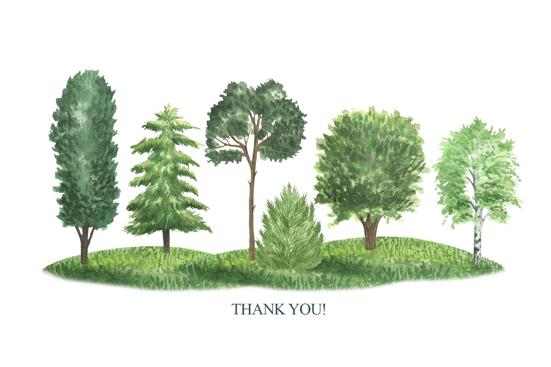 Watercolor painting of trees and a thank you card.