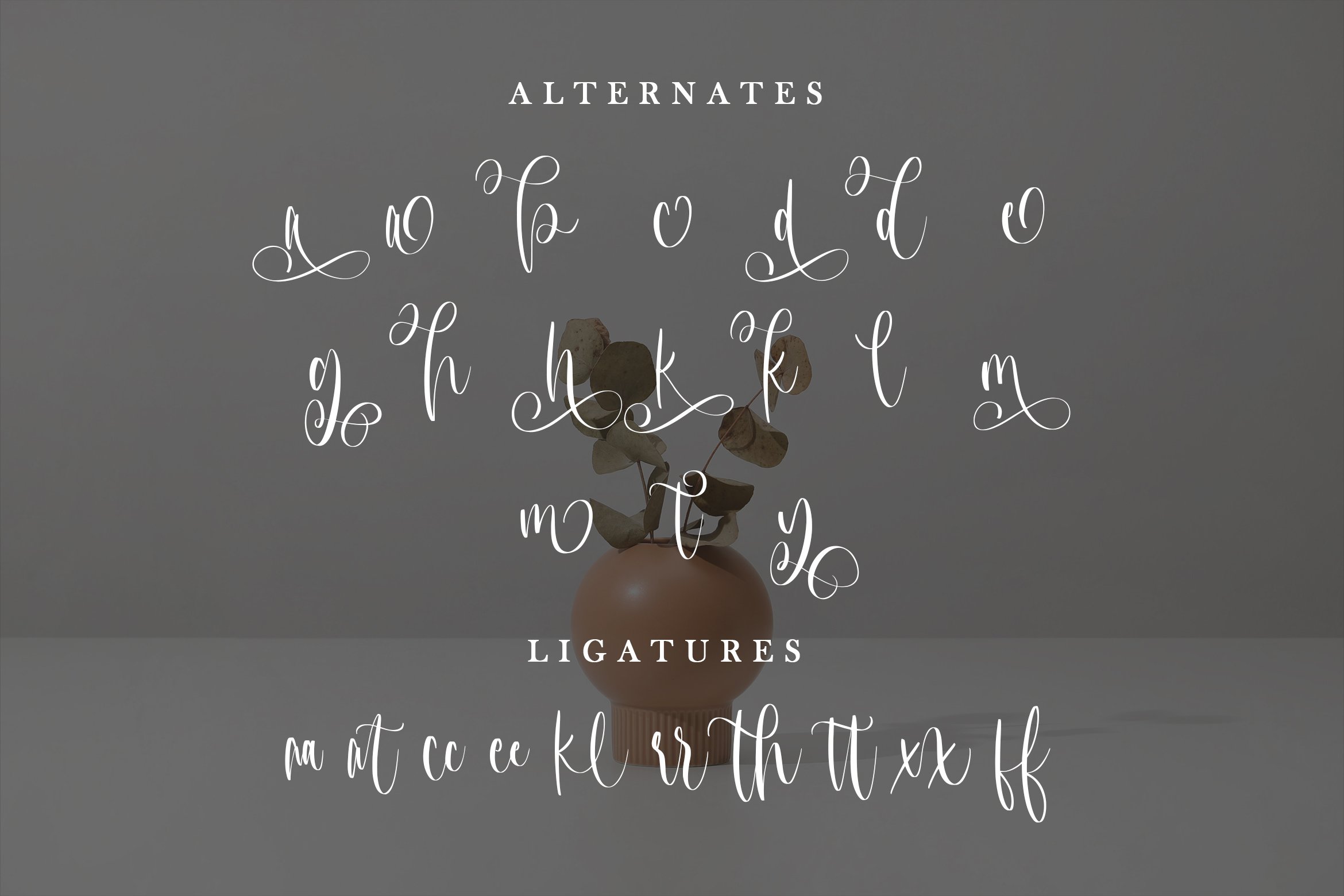 Earthenware -Beauty Calligraphy Font preview image.