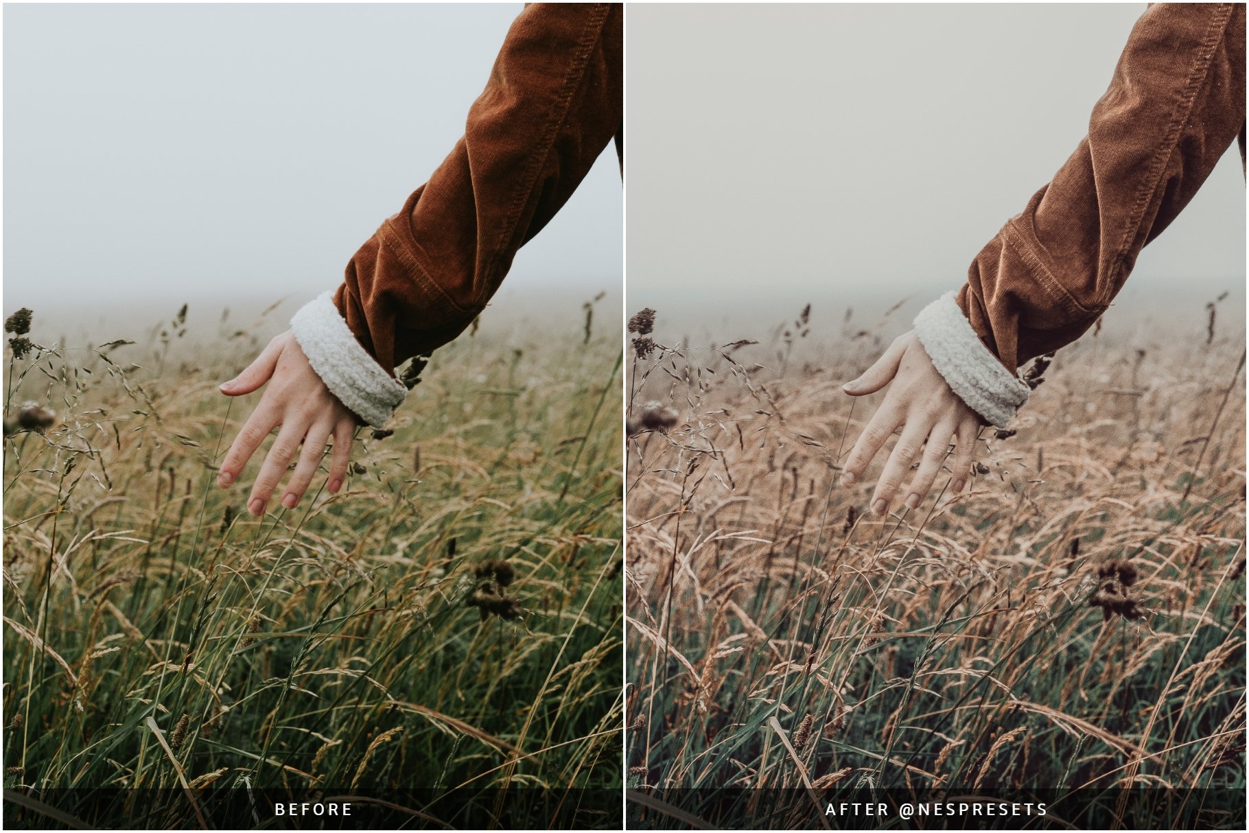 earthy preset preview 10 147