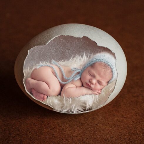 Easter Newborn Digital Backdropcover image.