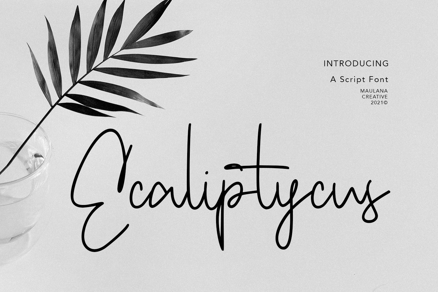 Ecaliptycus Script Font cover image.